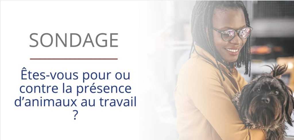 Sondage - Pour ou contre animaux au travail
