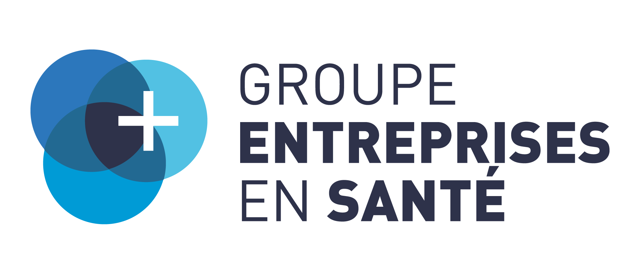 logo_groupe_entreprises_en_sante